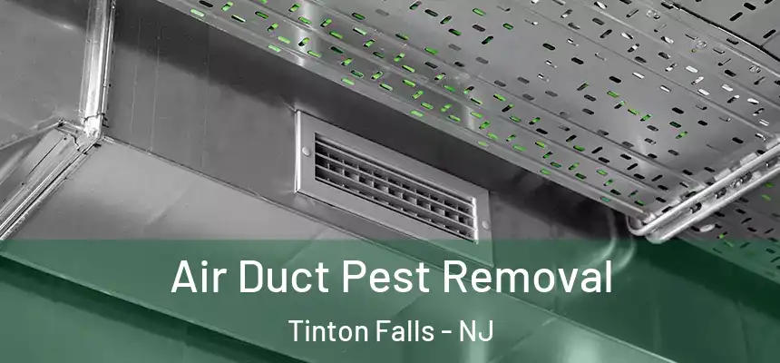  Air Duct Pest Removal Tinton Falls - NJ