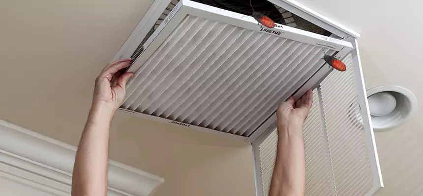 Preventive Cockroach-Proofing for Ducts in Tinton Falls