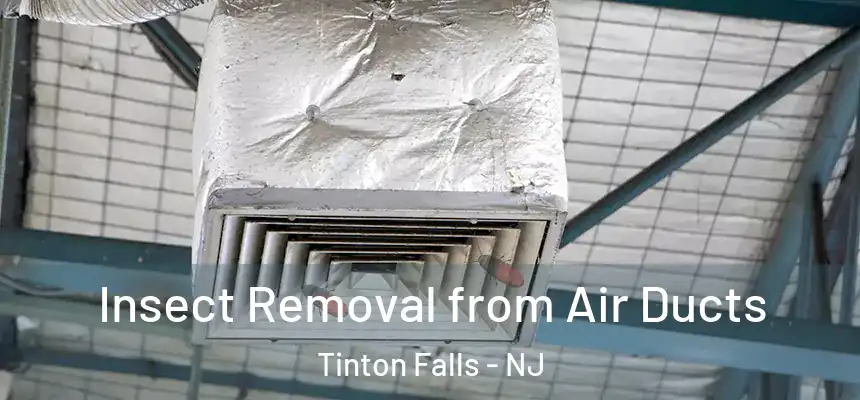  Insect Removal from Air Ducts Tinton Falls - NJ