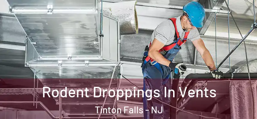  Rodent Droppings In Vents Tinton Falls - NJ