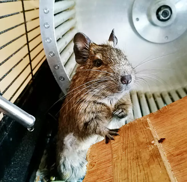 Why Homeowners & Businesses Trust Us Tinton Falls, NJ?